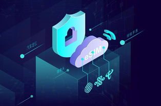 物聯(lián)網(wǎng)智慧連接技術(shù)服務(wù)提供商